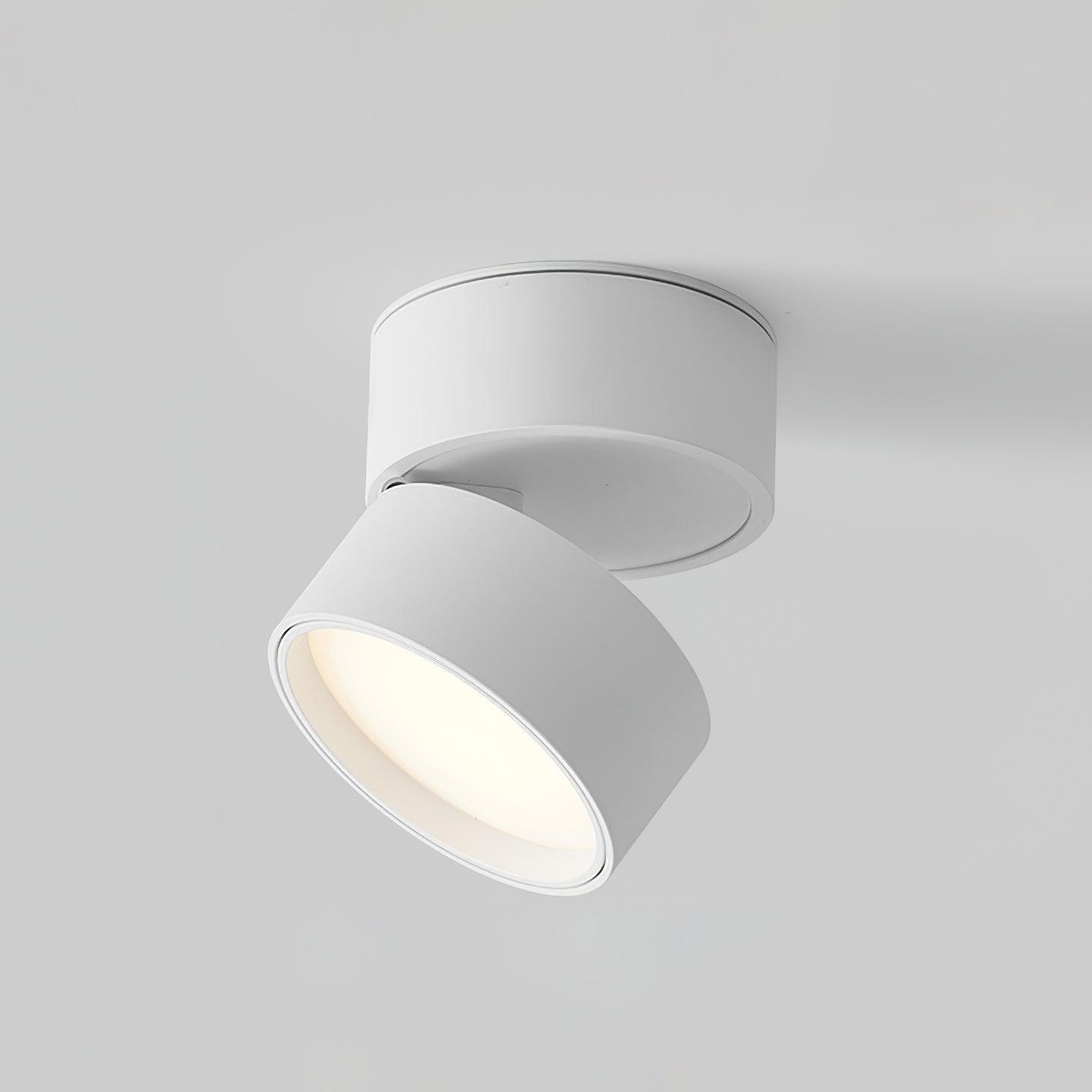Lampa sufitowa Favilla Surface