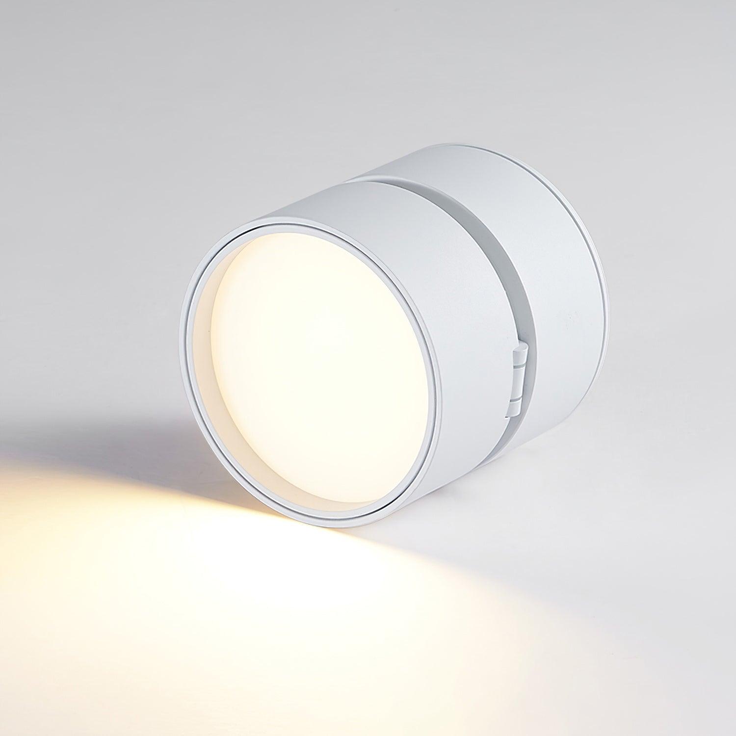 Lampa sufitowa Favilla Surface