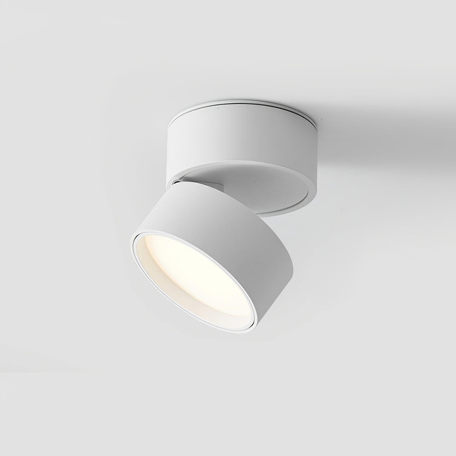 Lampa sufitowa Favilla Surface