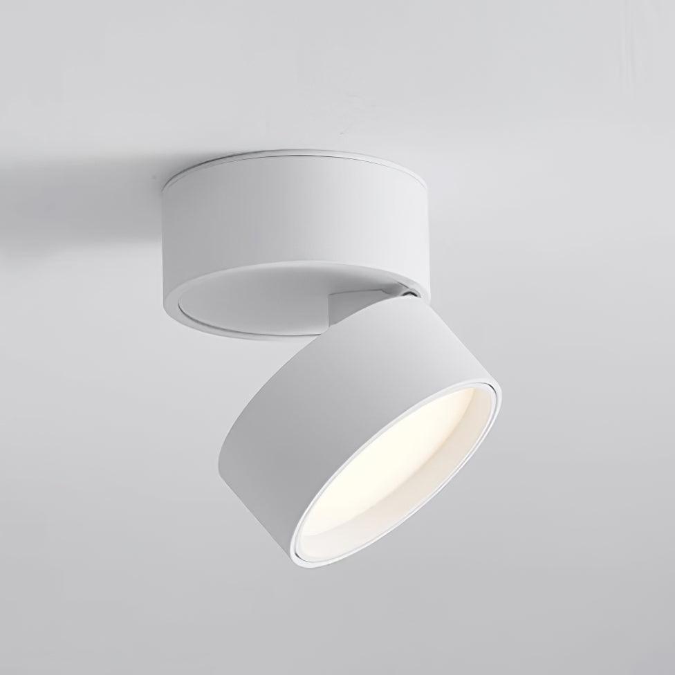 Lampa sufitowa Favilla Surface