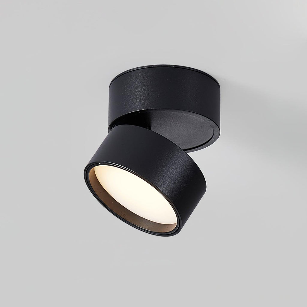 Lampa sufitowa Favilla Surface